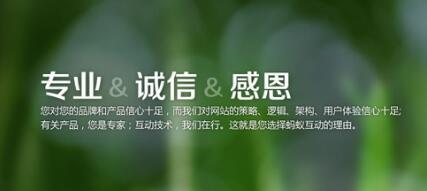 企業(yè)網(wǎng)站如何打造一個(gè)適用于優(yōu)化和優(yōu)秀的網(wǎng)頁(yè)？